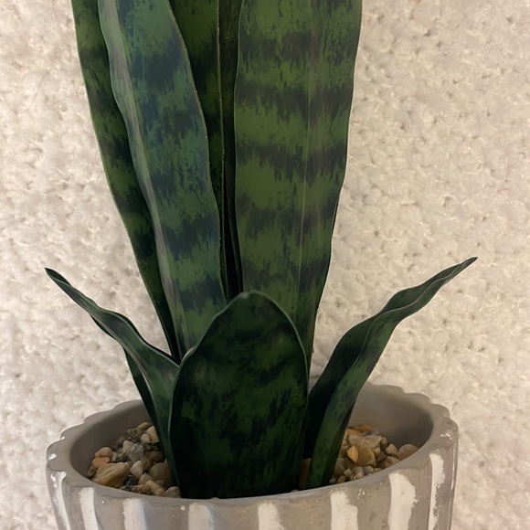 NWT Always Perfect Decor Artificial Snake Plant in Gray and White Pot - Picture 6 of 12